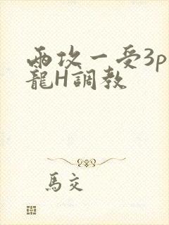 两攻一受3p双龙H调教