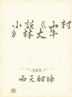 小说《山村情事》林大牛