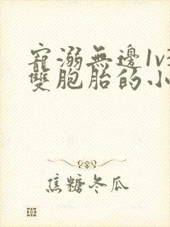 宠溺无边1v3双胞胎的小说