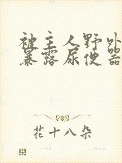 被主人野外调教暴露尿便器