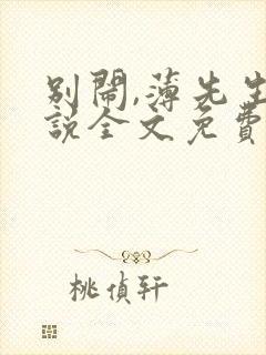 别闹,薄先生小说全文免费阅读