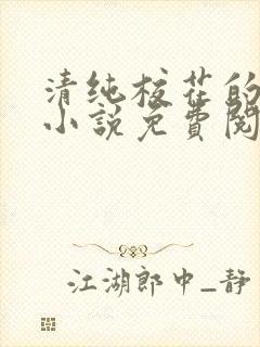 清纯校花的秘密小说免费阅读