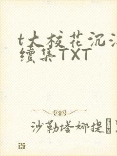 t大校花沉浮录续集TXT