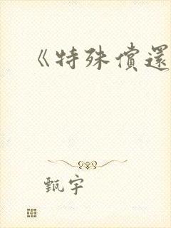 《特殊偿还》封面