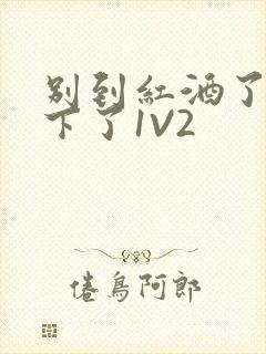 别到红酒了装不下了1V2