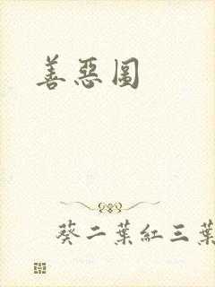 善恶图封面