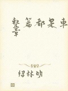 整篇都是车的文章