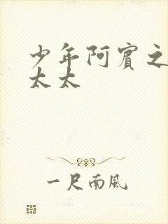 少年阿宾之房东太太