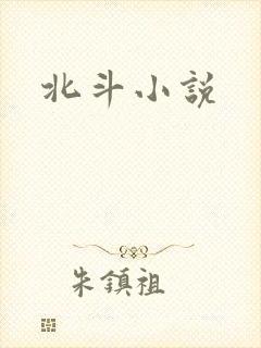 北斗小说封面