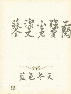 苏洁小强工地情全文免费阅读