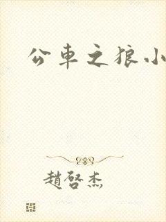 公车之狼小说