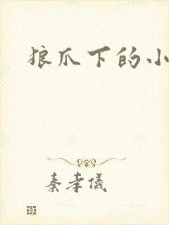 狼爪下的小雏菊封面