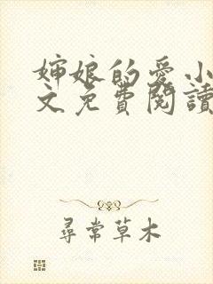 婶娘的爱小说全文免费阅读