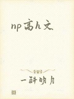 np高h文