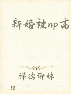 新婚被np高h