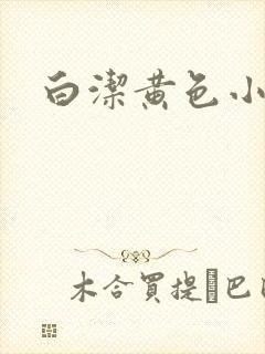 白洁黄色小说封面