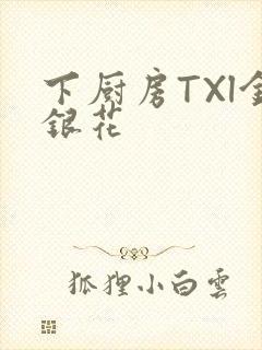 下厨房TXl金银花