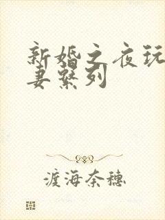 新婚之夜玩弄人妻系列封面