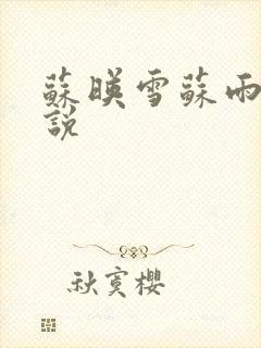 苏映雪苏雨柔小说封面