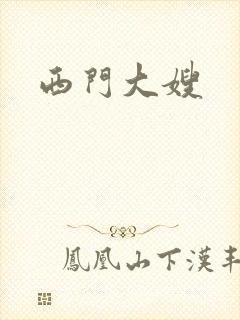 西门大嫂封面
