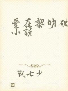 爱在黎明破晓前小说