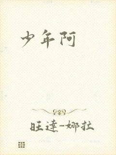 少年阿封面