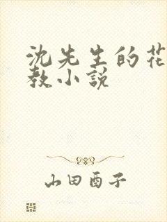 沈先生的花式调教小说