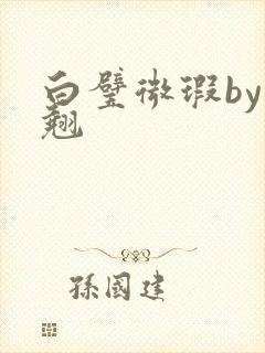 白璧微瑕by连翘