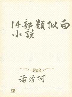 14部类似白洁小说封面