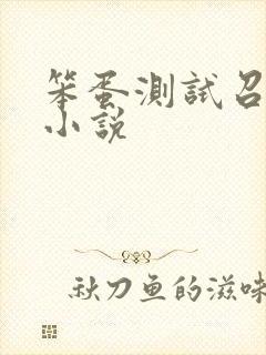 笨蛋测试召唤兽小说