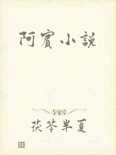 阿宾小说