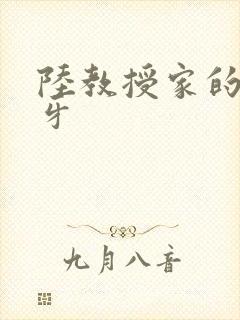 陆教授家的小月牙