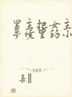 男主把女主拖进梦境里的小说