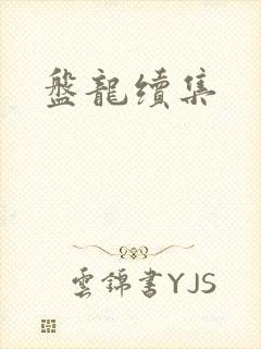 盘龙续集封面
