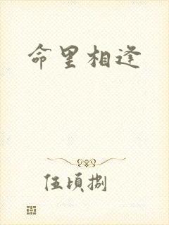 命里相逢封面