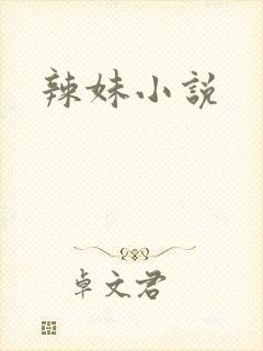辣妹小说