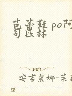 芭蕾鞋 po阿司匹林