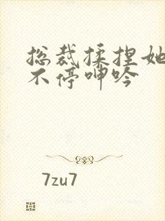 总裁揉捏她两乳不停呻吟