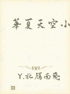 华夏天空小说网