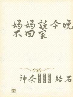妈妈说今晚爸爸不回家封面