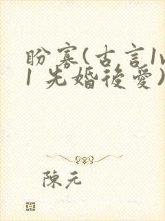 盼寡(古言1v1 先婚后爱)封面