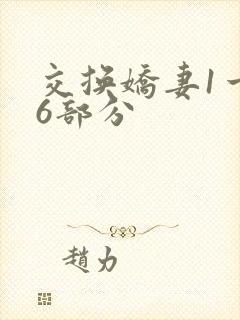 交换娇妻1一36部分