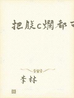把朕c烂都可以封面