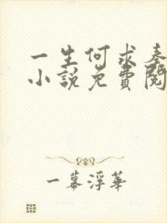 一生何求秦菲雪小说免费阅读封面