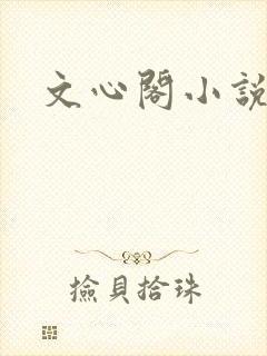 文心阁小说