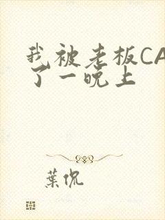 我被老板CAO了一晚上