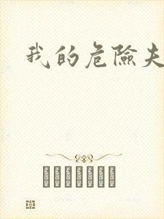 我的危险夫人封面