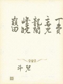 巅峰龙主丁长顺田晓兰免费阅读