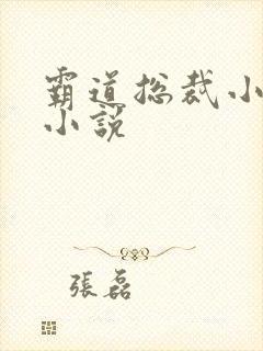 霸道总裁小娇妻小说