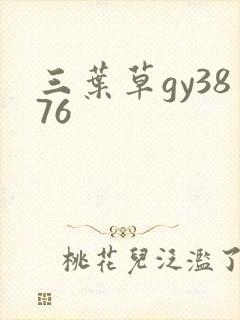 三叶草gy3876封面
